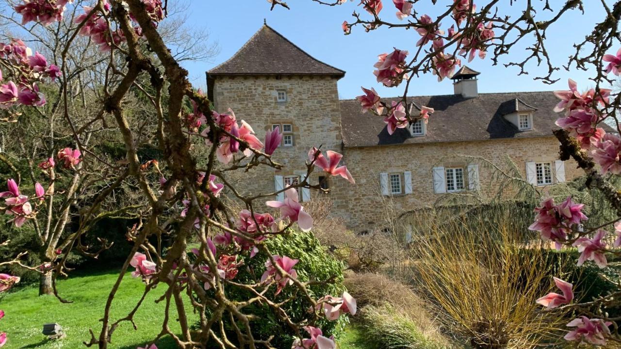 Le Moulin Du Boisset Bed and Breakfast Saint-Denis-lès-Martel Eksteriør billede